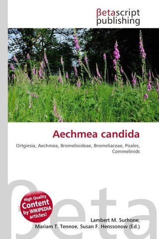 Aechmea candida