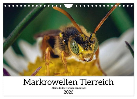 Makrowelten Tierreich (Wandkalender 2026 DIN A4 quer), CALVENDO Monatskalender