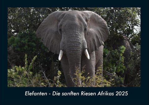 Elefanten - Die sanften Riesen Afrikas 2025 Fotokalender DIN A4