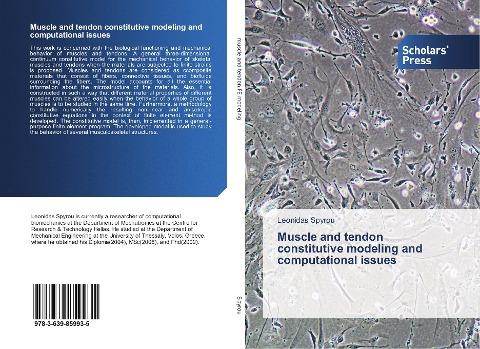 Muscle and tendon constitutive modeling and computational issues