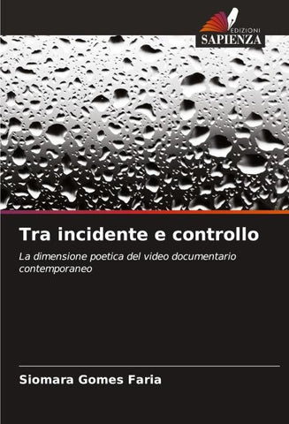 Tra incidente e controllo