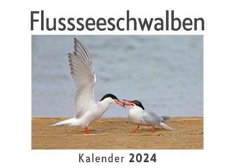 Flussseeschwalben (Wandkalender 2024, Kalender DIN A4 quer, Monatskalender im Querformat mit Kalendarium, Das perfekte Geschenk)