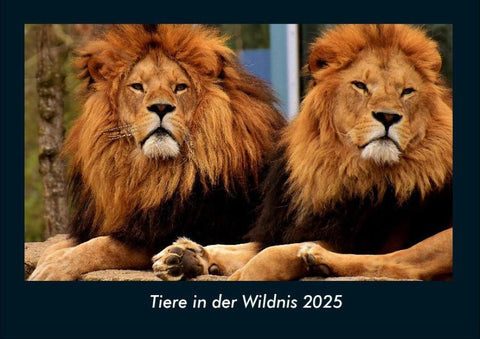 Tiere in der Wildnis 2025 Fotokalender DIN A4