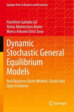 Dynamic Stochastic General Equilibrium Models