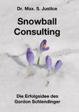 Snowball Consulting