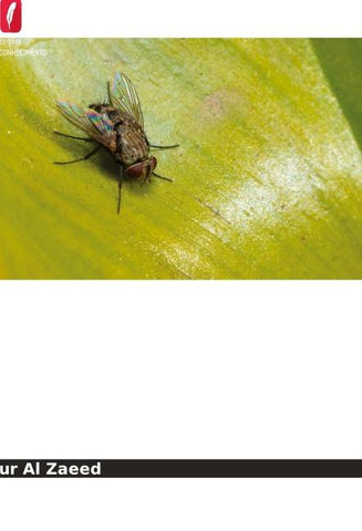Preparação de quitosano a partir de larvas de mosca doméstica (Musca domestica)