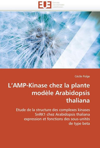 L'AMP-Kinase chez la plante modèle Arabidopsis thaliana
