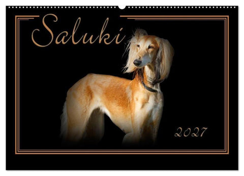 Saluki 2027 (Wandkalender 2027 DIN A2 quer), CALVENDO Monatskalender