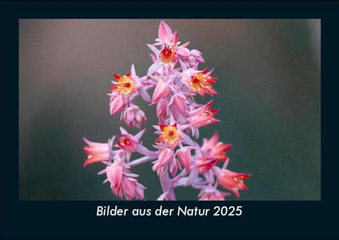Bilder aus der Natur 2025 Fotokalender DIN A5