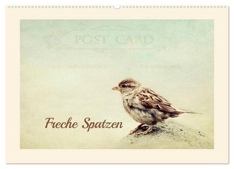 Freche Spatzen (Wandkalender 2026 DIN A2 quer), CALVENDO Monatskalender