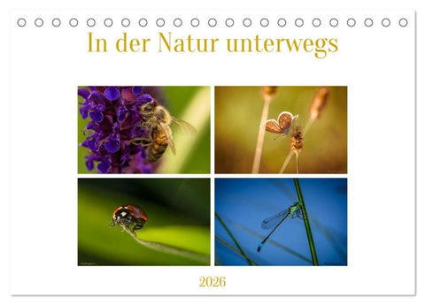 In der Natur unterwegs (Tischkalender 2026 DIN A5 quer), CALVENDO Monatskalender