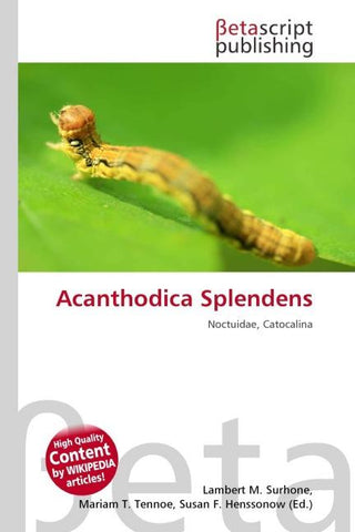 Acanthodica Splendens