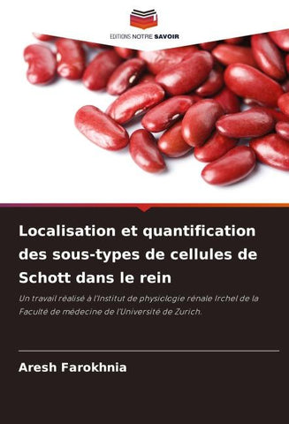 Localisation et quantification des sous-types de cellules de Schott dans le rein