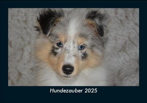 Hundezauber 2025 Fotokalender DIN A5