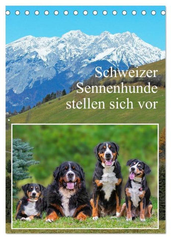 Schweizer Sennenhunde stellen sich vor (Tischkalender 2026 DIN A5 hoch), CALVENDO Monatskalender