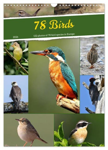 78 Birds (Wall Calendar 2026 DIN A3 portrait), CALVENDO 12 Month Wall Calendar