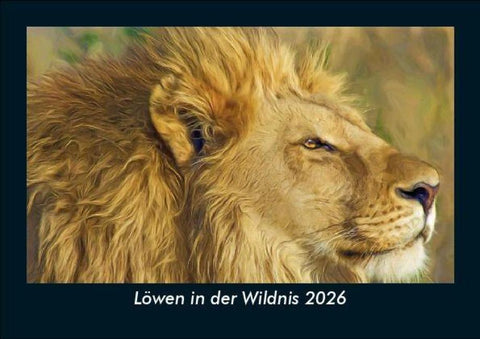 Löwen in der Wildnis 2026 Fotokalender DIN A5