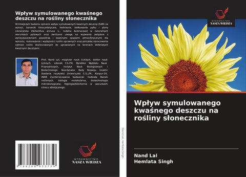 Wp¿yw symulowanego kwa¿nego deszczu na ro¿liny s¿onecznika