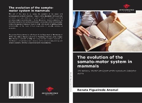The evolution of the somato-motor system in mammals