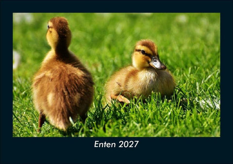 Enten 2027 Fotokalender DIN A5