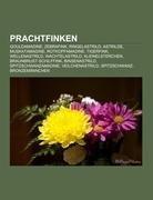 Prachtfinken