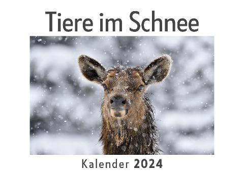 Tiere im Schnee (Wandkalender 2024, Kalender DIN A4 quer, Monatskalender im Querformat mit Kalendarium, Das perfekte Geschenk)