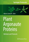 Plant Argonaute Proteins