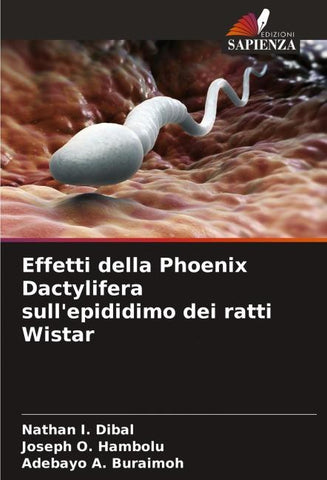 Effetti della Phoenix Dactylifera sull'epididimo dei ratti Wistar