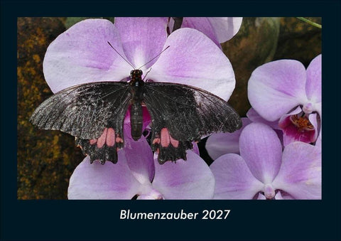 Blumenzauber 2027 Fotokalender DIN A4