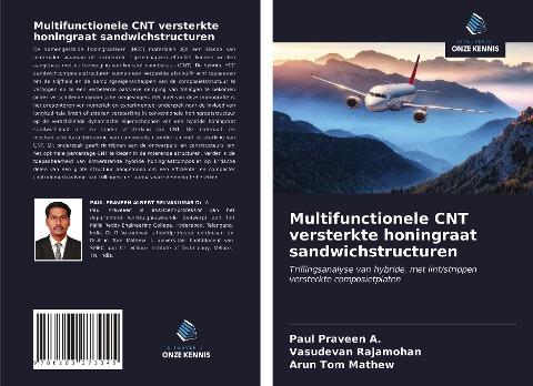 Multifunctionele CNT versterkte honingraat sandwichstructuren