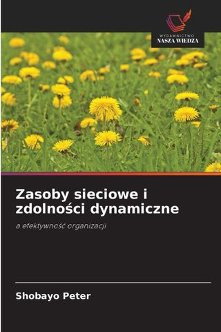 Zasoby sieciowe i zdolno¿ci dynamiczne
