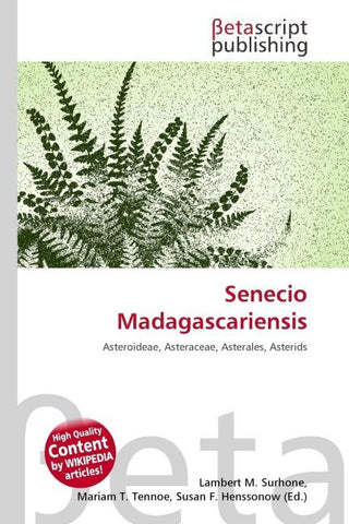 Senecio Madagascariensis