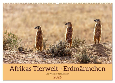 Afrikas Tierwelt - Erdmännchen (Wandkalender 2026 DIN A2 quer), CALVENDO Monatskalender