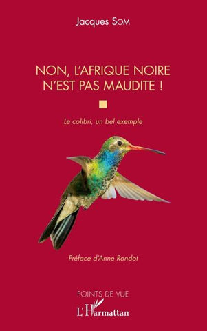 Non, l'Afrique noire n'est pas maudite