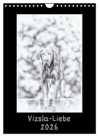 Vizsla-Liebe (Wandkalender 2026 DIN A4 hoch), CALVENDO Monatskalender