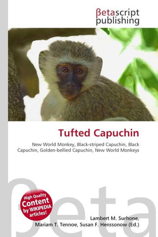 Tufted Capuchin