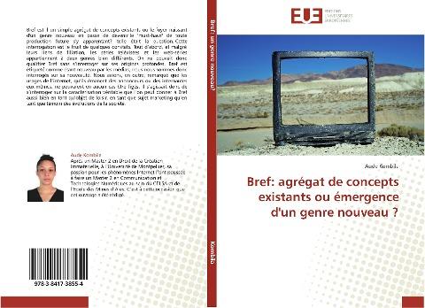 Bref: agrégat de concepts existants ou émergence d'un genre nouveau ?