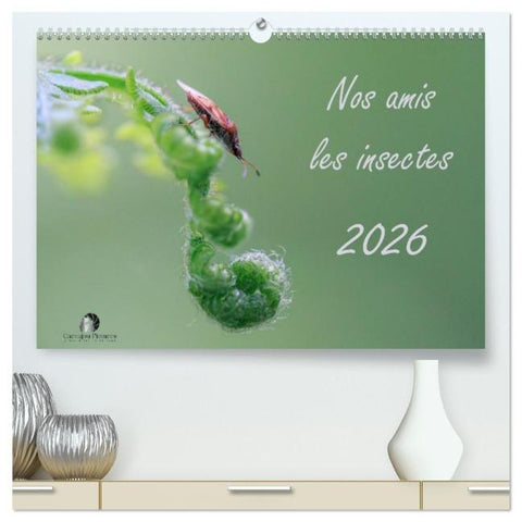 Nos amis les insectes (Calendrier mural 2026 DIN A2 vertical) calendrier de bureau