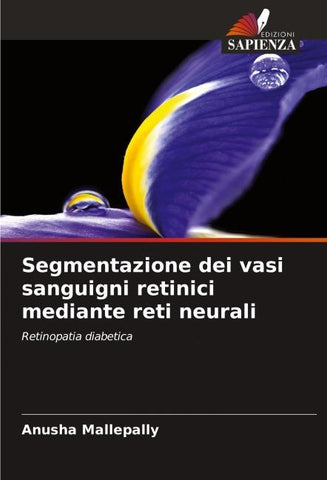 Segmentazione dei vasi sanguigni retinici mediante reti neurali