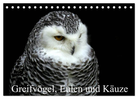 Greifvögel, Eulen und Käuze (Tischkalender 2026 DIN A5 quer), CALVENDO Monatskalender