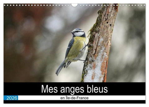 Mes anges bleus en Île-de-France (Calendrier mural 2026 DIN A3 vertical), CALVENDO calendrier mensuel