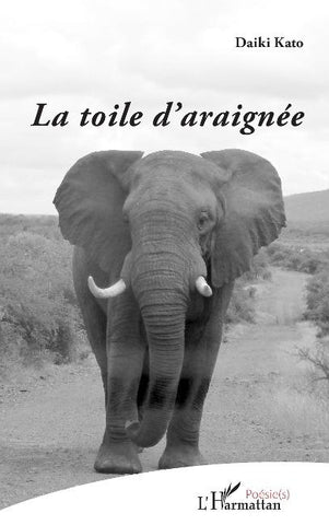 La toile d'araignée