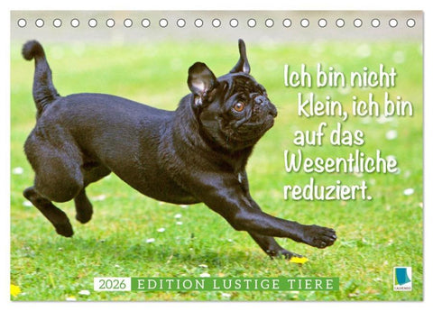 Der Mops: Nicht klein, sondern aufs Wesentliche reduziert. Edition lustige Tiere (Tischkalender 2026 DIN A5 quer), CALVENDO Monatskalender