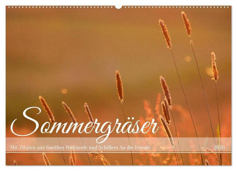 Sommergräser (Wandkalender 2026 DIN A2 quer), CALVENDO Monatskalender