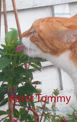 Kater Tommy