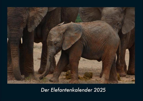 Der Elefantenkalender 2025 Fotokalender DIN A4