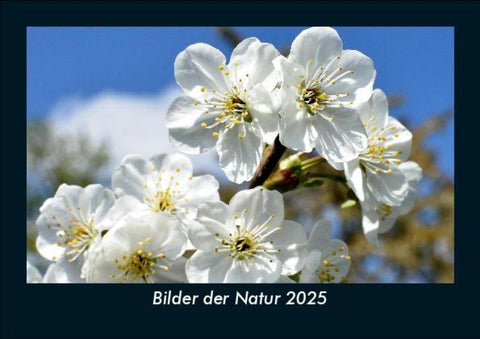 Bilder der Natur 2025 Fotokalender DIN A5
