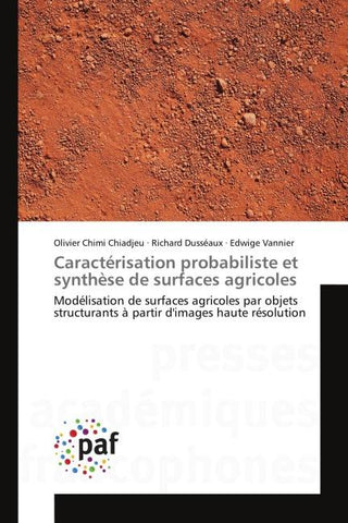 Caractérisation probabiliste et synthèse de surfaces agricoles