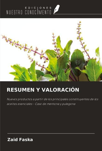 RESUMEN Y VALORACIÓN