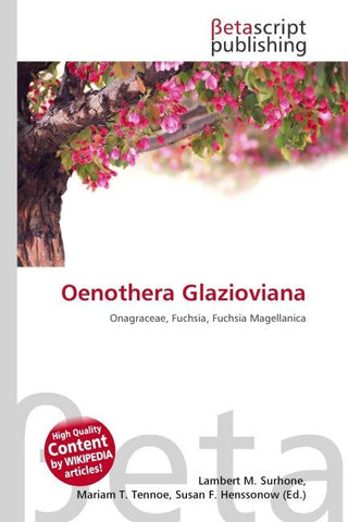Oenothera Glazioviana